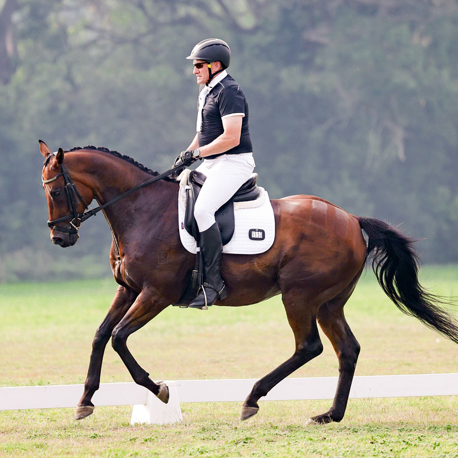 Fortissimo-Equine-Freestyles-AD-pic
