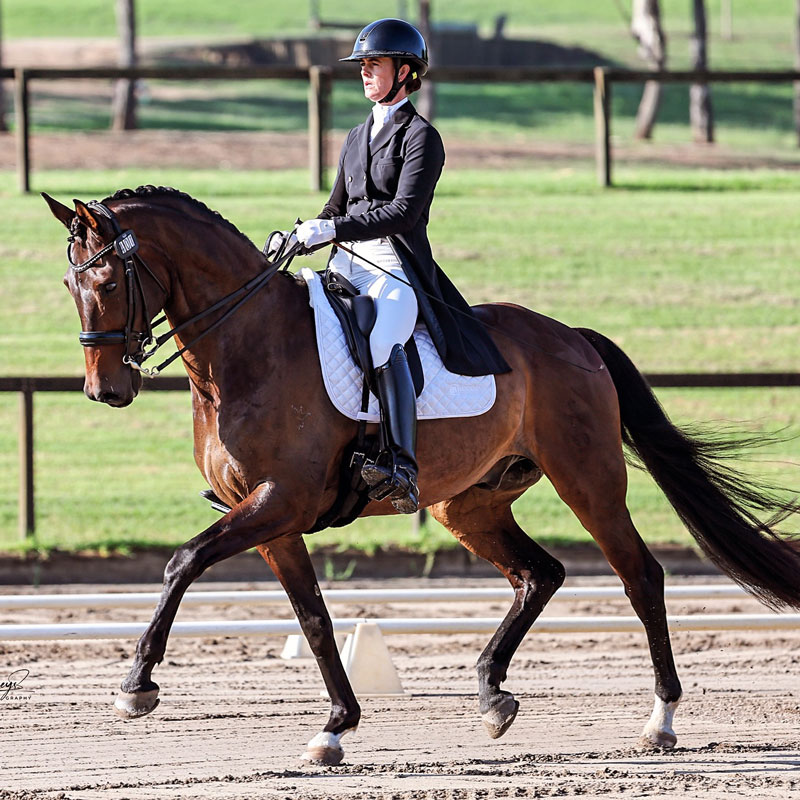 Fortissimo-Equine-FreestylesFF-Charm