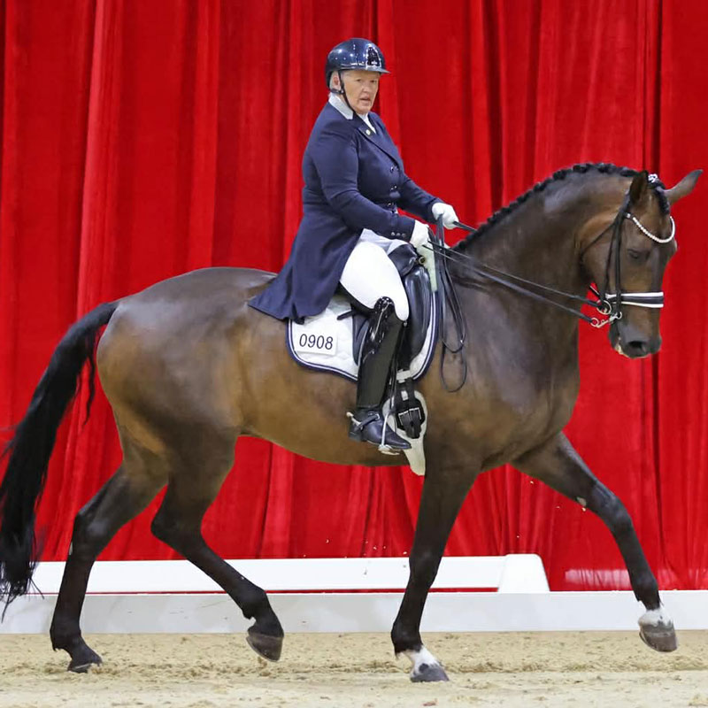 Fortissimo-Equine-FreestylesRS-Pic